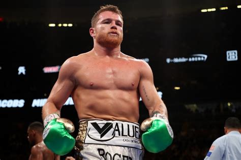 canelo álvarez|canelo álvarez next fight.